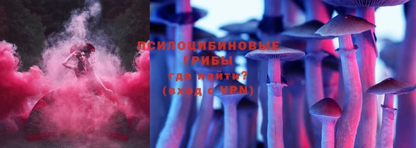 ПСИЛОЦИБИНОВЫЕ ГРИБЫ Армянск