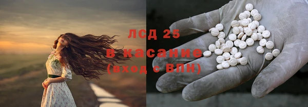 ПСИЛОЦИБИНОВЫЕ ГРИБЫ Армянск