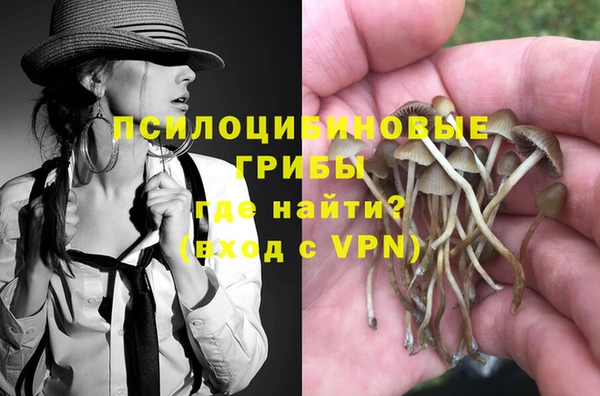 прущие крисы Аркадак